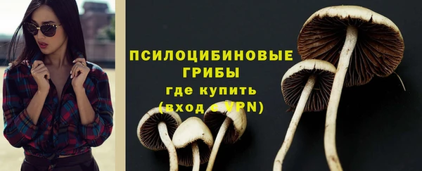 дурь Алзамай