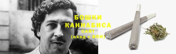 ПСИЛОЦИБИНОВЫЕ ГРИБЫ Алексеевка