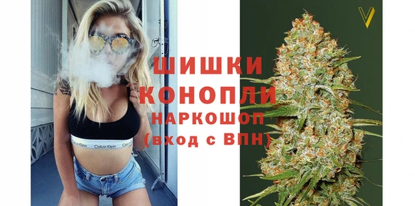 дурь Алзамай