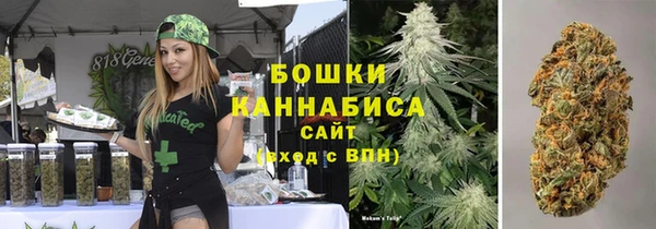 ПСИЛОЦИБИНОВЫЕ ГРИБЫ Алексеевка