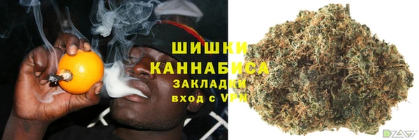 ПСИЛОЦИБИНОВЫЕ ГРИБЫ Алексеевка