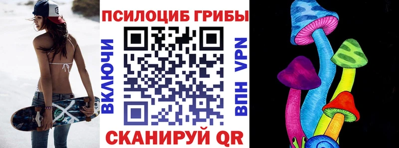 сколько стоит  Туринск  Псилоцибиновые грибы Cubensis 