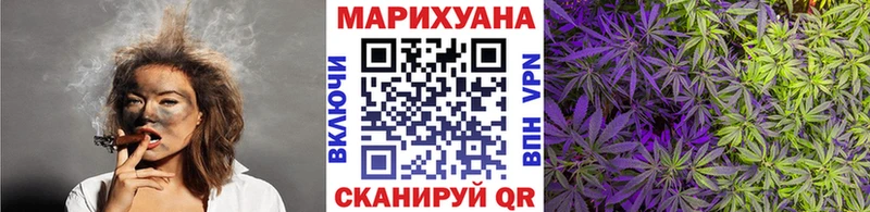 Канабис план  где купить наркоту  Туринск 